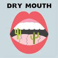 Natural mouthwash for dry mouth